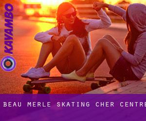 Beau Merle skating (Cher, Centre)