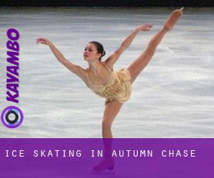 Ice Skating in Autumn Chase
