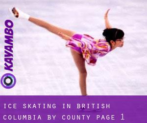 Ice Skating in British Columbia by County - page 1
