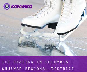 Ice Skating in Columbia-Shuswap Regional District