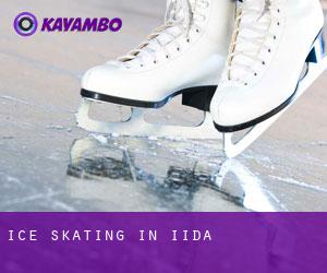 Ice Skating in Iida