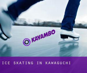 Ice Skating in Kawaguchi