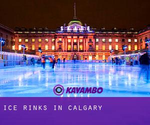 Ice Rinks in Calgary