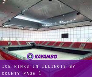 Ice Rinks in Illinois by County - page 1