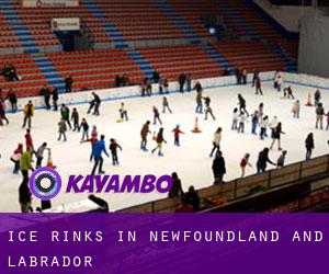 Ice Rinks in Newfoundland and Labrador