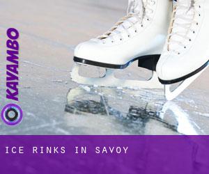 Ice Rinks in Savoy