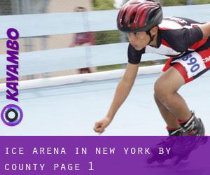 Ice Arena in New York by County - page 1