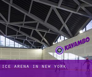 Ice Arena in New York