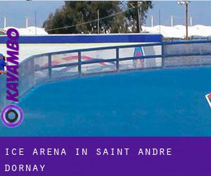 Ice Arena in Saint-André-d'Ornay