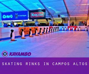 Skating Rinks in Campos Altos