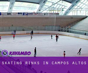 Skating Rinks in Campos Altos
