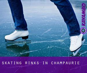 Skating Rinks in Champaurie