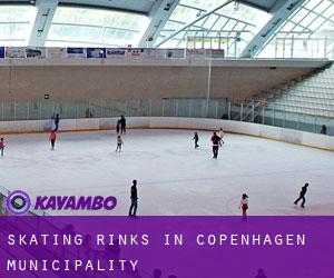 Skating Rinks in Copenhagen municipality