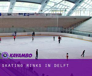 Skating Rinks in Delft