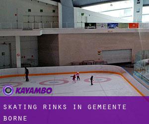 Skating Rinks in Gemeente Borne