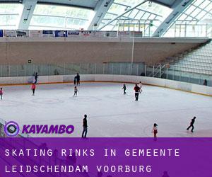 Skating Rinks in Gemeente Leidschendam-Voorburg