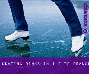 Skating Rinks in Île-de-France