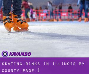 Skating Rinks in Illinois by County - page 1