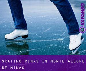 Skating Rinks in Monte Alegre de Minas