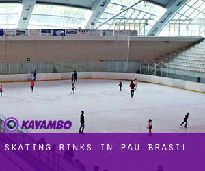 Skating Rinks in Pau Brasil