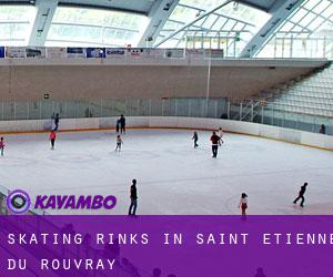 Skating Rinks in Saint-Étienne-du-Rouvray