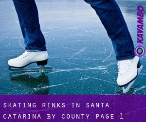 Skating Rinks in Santa Catarina by County - page 1
