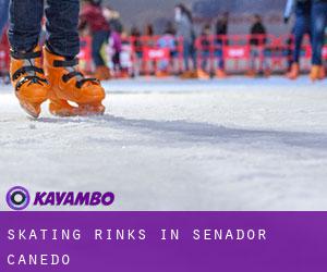 Skating Rinks in Senador Canedo