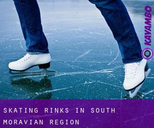 Skating Rinks in South Moravian Region