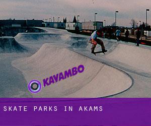 Skate Parks in Akams