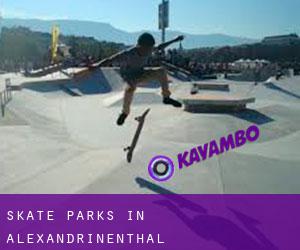 Skate Parks in Alexandrinenthal