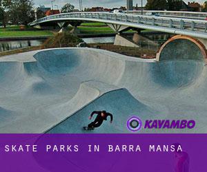 Skate Parks in Barra Mansa