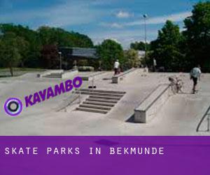 Skate Parks in Bekmünde