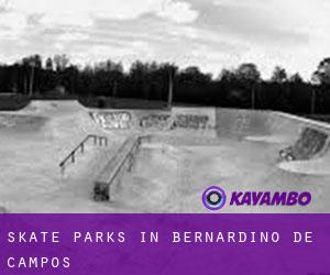 Skate Parks in Bernardino de Campos