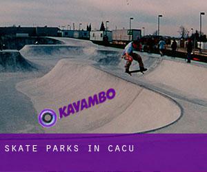 Skate Parks in Caçu