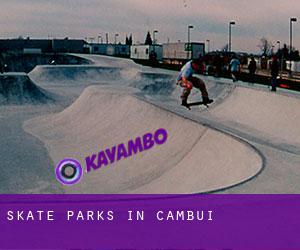 Skate Parks in Cambuí