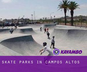 Skate Parks in Campos Altos