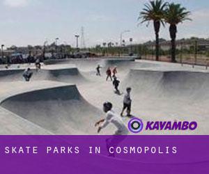 Skate Parks in Cosmópolis