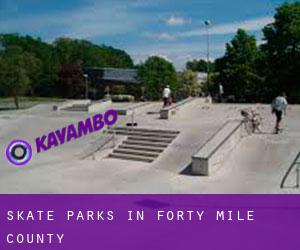 Skate Parks in Forty Mile County