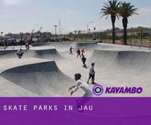 Skate Parks in Jaú