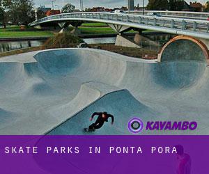 Skate Parks in Ponta Porã
