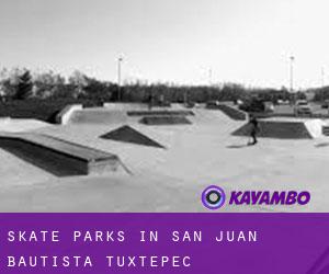 Skate Parks in San Juan Bautista Tuxtepec