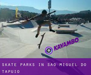 Skate Parks in São Miguel do Tapuio