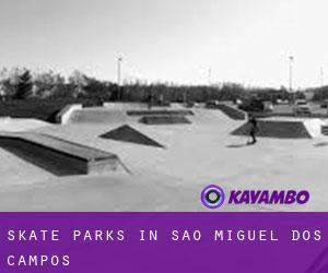Skate Parks in São Miguel dos Campos