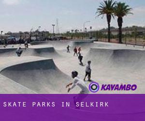 Skate Parks in Selkirk