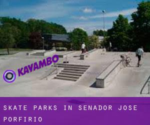 Skate Parks in Senador José Porfírio