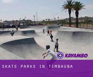 Skate Parks in Timbaúba