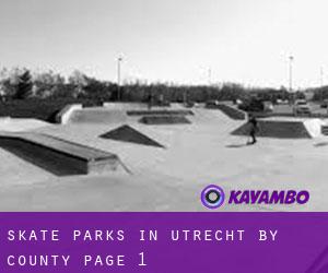 Skate Parks in Utrecht by County - page 1