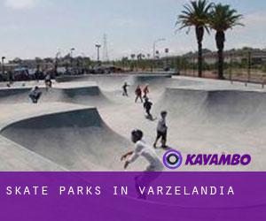 Skate Parks in Varzelândia