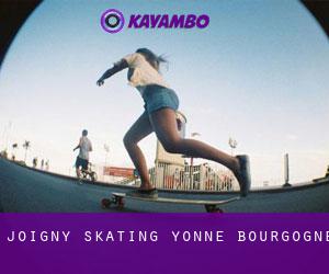 Joigny skating (Yonne, Bourgogne)