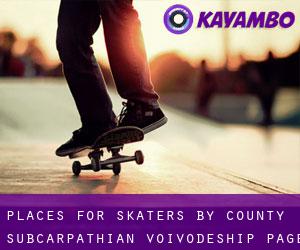 places for skaters by County (Subcarpathian Voivodeship) - page 1